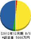 光川組 貸借対照表 2012年12月期