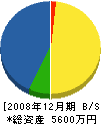眞鍋組 貸借対照表 2008年12月期