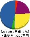 田形製作所 貸借対照表 2010年6月期