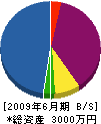 山崎設備 貸借対照表 2009年6月期