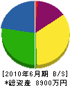 吉田電気 貸借対照表 2010年6月期