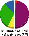 坂東建設 貸借対照表 2008年5月期