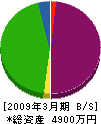 田中建築 貸借対照表 2009年3月期
