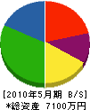 坂眞工業 貸借対照表 2010年5月期