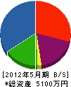 宇田土建 貸借対照表 2012年5月期