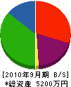 栃木住建 貸借対照表 2010年9月期