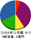 泰清資材 貸借対照表 2008年12月期