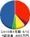 新井電子 貸借対照表 2010年9月期
