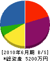 田辺材木店 貸借対照表 2010年6月期