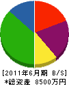 平江建設 貸借対照表 2011年6月期