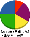 渡邊建設 貸借対照表 2010年5月期