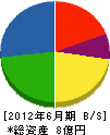 長田建設工業 貸借対照表 2012年6月期