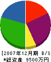 関根農林 貸借対照表 2007年12月期
