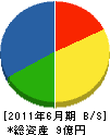 宮坂組 貸借対照表 2011年6月期