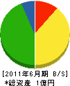 島田組 貸借対照表 2011年6月期