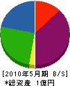 渡辺建鉄工業 貸借対照表 2010年5月期
