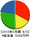 斎藤造園土木 貸借対照表 2010年3月期