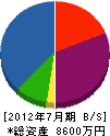 佐野組 貸借対照表 2012年7月期