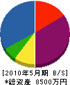 井＊川工務店 貸借対照表 2010年5月期