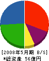 中川企画建設 貸借対照表 2008年5月期