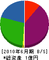 渡辺電気工事 貸借対照表 2010年6月期