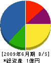 吉田電機商会 貸借対照表 2009年6月期