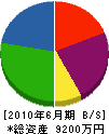 田中義塗装工業 貸借対照表 2010年6月期