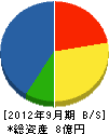 澤崎建設 貸借対照表 2012年9月期
