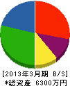 文化シャッター横須賀販売 貸借対照表 2013年3月期