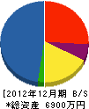 斉藤金網 貸借対照表 2012年12月期