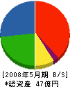 篠田 貸借対照表 2008年5月期