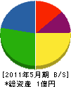 渡辺建設 貸借対照表 2011年5月期