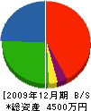 日昭住設 貸借対照表 2009年12月期