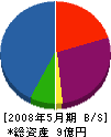 タケダ工業 貸借対照表 2008年5月期