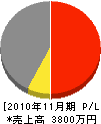 柳島電業社 損益計算書 2010年11月期
