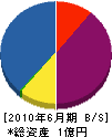 増田電気 貸借対照表 2010年6月期