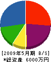 山清 貸借対照表 2009年5月期