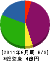 勝木建設 貸借対照表 2011年6月期