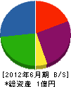 堀脇工業 貸借対照表 2012年6月期