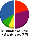 高橋土建 貸借対照表 2010年9月期
