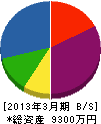 肥田忠 貸借対照表 2013年3月期