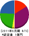 田中設備工業所 貸借対照表 2011年6月期