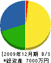 中島建材 貸借対照表 2009年12月期