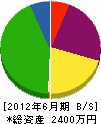 新井鑿泉 貸借対照表 2012年6月期