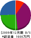 嶋倉塗装 貸借対照表 2009年12月期