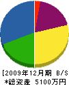 佐野塗装工業 貸借対照表 2009年12月期