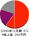 島崎重夫 損益計算書 2008年12月期