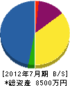 丸松 貸借対照表 2012年7月期