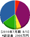 芹川芸庭 貸借対照表 2010年7月期