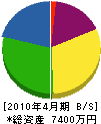 瀬戸崎ハイテック 貸借対照表 2010年4月期